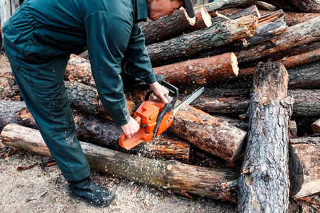 伐木工人砍树图片
