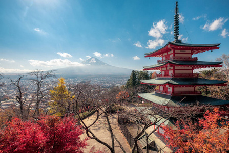 秋园富士山翠鸟塔观景图片