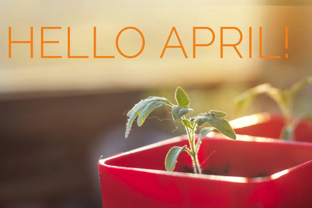 嗨,春天.你好,april.欢迎卡我们正在等待新的春天.春天的第二个月.