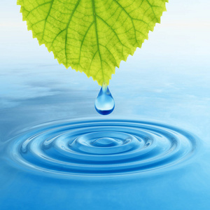 清澈的泉水概念或概念干净的泉水或露珠从绿色的新鲜叶子上落下,在3d