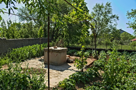 水井和周围的小花园图片