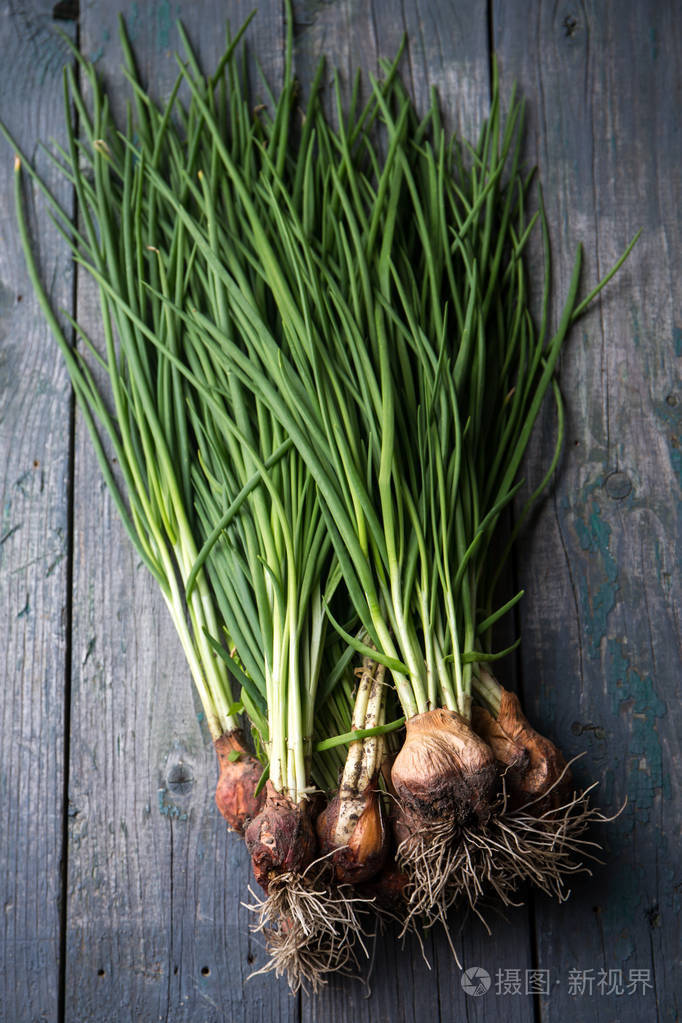 带根的大葱