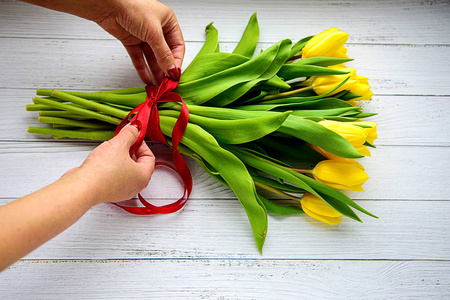 女人的手绑着一束红色绳黄色郁金香花在白色的木质背景上.等待春天.