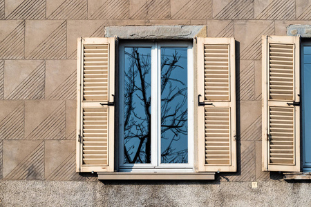 春天家里窗户上光秃秃的树的倒影照片