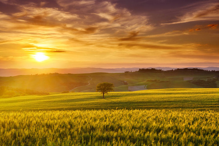 田园诗般的景色,薄雾蒙蒙的托斯卡纳山在朝阳的照耀下照片