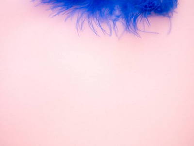 淡粉色背景上的蓝色羽毛图片