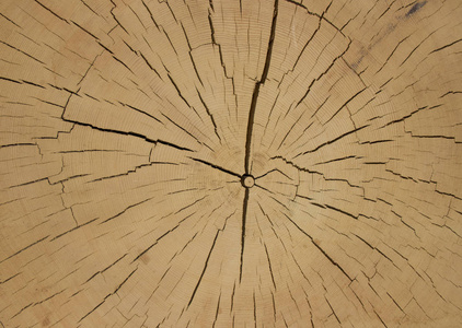 古代木材的切割.照片