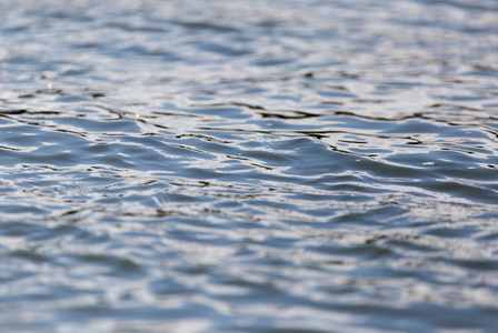 湖中广阔的水面作为背景图片