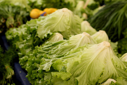 一排生菜图片