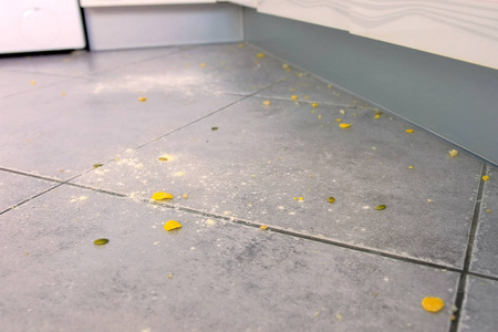 厨房的地板脏兮兮的,里面有食物残渣,面粉,玉米片.特写镜头.照片