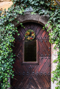 砖墙和植物的老建筑维尔纽斯老城区中心带围墙的房子一较高的对`英文