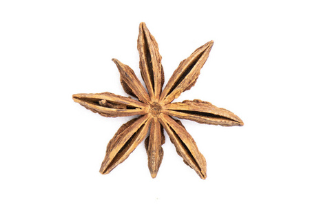 干燥的棕色八角茴香果实,白色照片