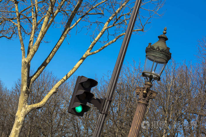 巴黎春天的红绿灯灯笼树映衬着蓝天