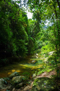 泰国考索丛林雨林中的河流图片