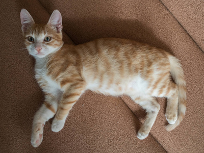 柔软沙发图片-柔软沙发素材-柔软沙发插画-摄图新视界