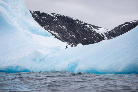 南极洲景观与海洋冰岛冰山图片