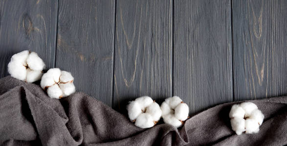 鲜花贺卡.带棉花的文本框架.俯视图照片