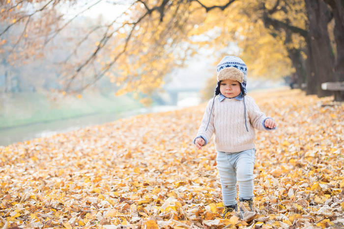 美丽的男婴散步在公园里扔秋叶。