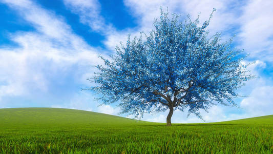 超现实的蓝色樱花盛开的樱花树照片