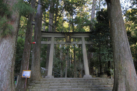 日本和歌山裕廊神社多丽门图片