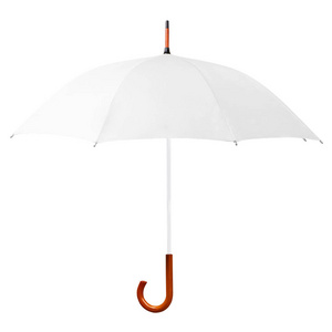 白底撑伞白色雨伞图标红色的玫瑰花