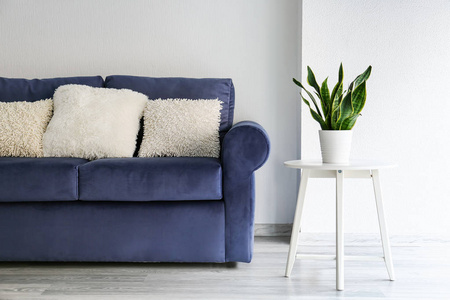 带舒适沙发的现代客房内部图片