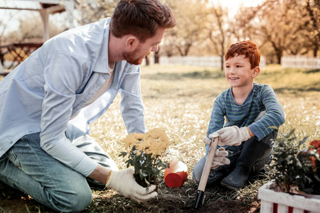 橙色的幼苗图片