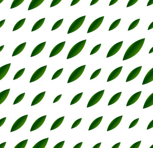 形状植物区系图片