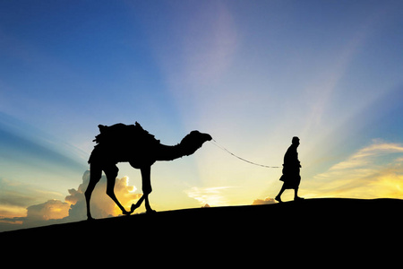 牵着骆驼走过印度塔尔沙漠,展示剪影照片