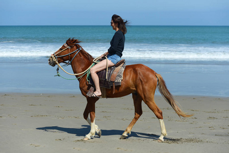 海边骑马图片