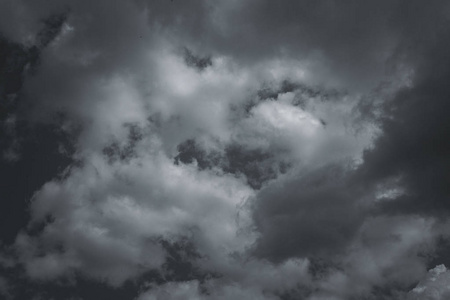 孤独的树在秋天的风景和沉重灰暗的天空背景上天空乌云密布,天空灰暗