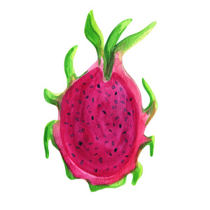 手绘红心火龙果图片