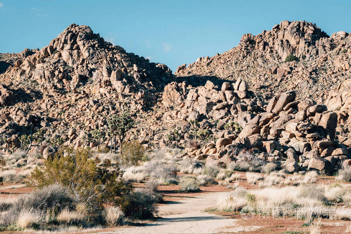 加利福尼亚州乔舒亚树国家公园沙漠中的岩石堆