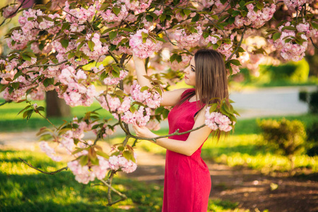 一束樱花迷人的女孩穿着漂亮的粉红色裙子,手里拿着一束樱花.