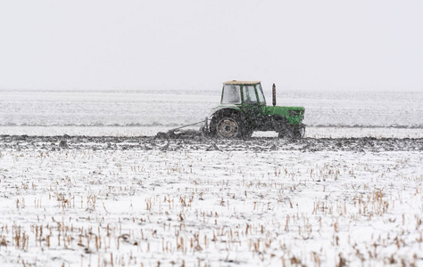 冬茬地耕作图片