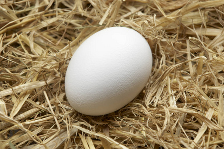 白壳鸡蛋图片
