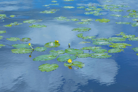 莲花塘水库图片-莲花塘水库素材-莲花塘水库插画-摄图新视界