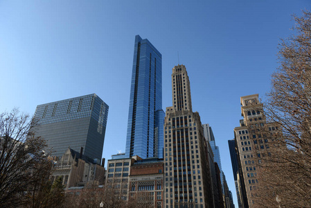 芝加哥市区高楼景观图片