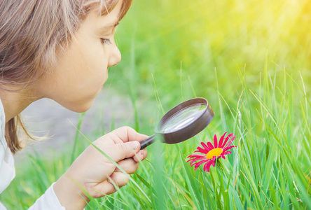 增加课程孩子在放大镜里看.增加.选择性聚焦.照片