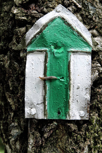 绿色旅游标志树上的箭头图片