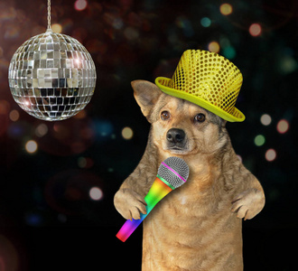 第二阶段狗在第二阶段唱歌照片