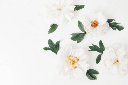 亚洲女性花朵白色的牡丹花的头状花序和叶子孤立在白色的桌子背景上.