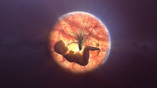 人与自然和谐相处在太空中地球子宫内婴儿的组成.