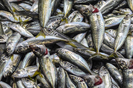 小海鲜鱼凤尾鱼背景冰在渔民市场商店商店.