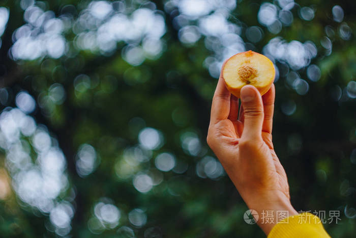 一个男人的手拿着一个刚采摘的成熟桃子,一根骨头被切成两半,背景是