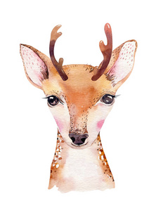 水彩画卡通孤立可爱的小鹿动物与花.森林苗圃林地插图.