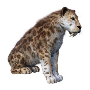 场景与洞穴人野蛮战士与矛遇到剑齿插图儿童剑齿虎卡通可爱的剑齿虎