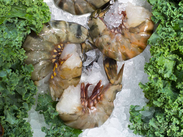 uncooked jumbo shrimp on ice at market with green garnish