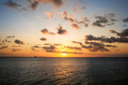 海边的夕阳和热带棕榈树图片