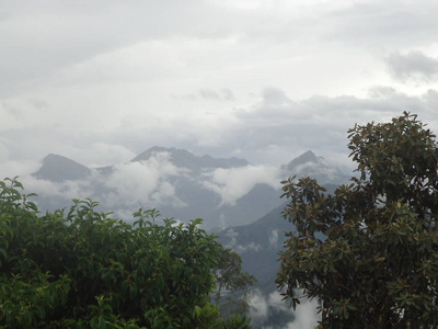 南印度亚洲山谷的美丽雾景图片